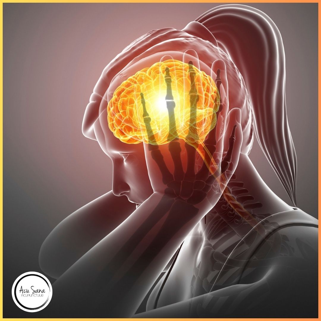 Stress: Oorzaken, Tips en Trucs, en Hoe Acupunctuur Echt Helpt.